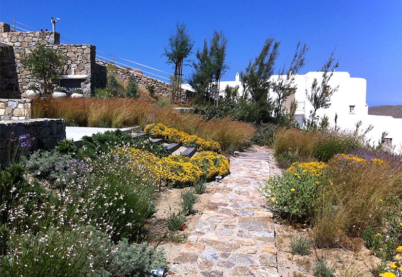 Garden Design & Care